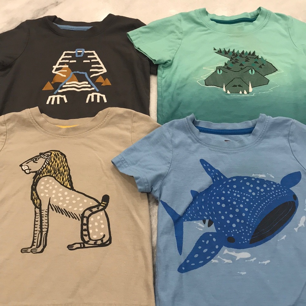 Toddler Tea Collection 3T Shirt Bundle
